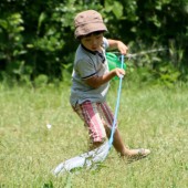 Bắt và nuôi côn trùng: Niềm vui của trẻ em Nhật Bản